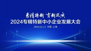 汇聚3000精英！揭秘2024专精特新中小企业发展大会上的新机遇